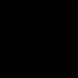 Meet your Posher, Leon